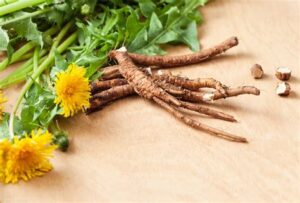 Dandelion Root