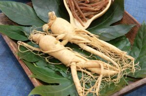 Ginseng Panax